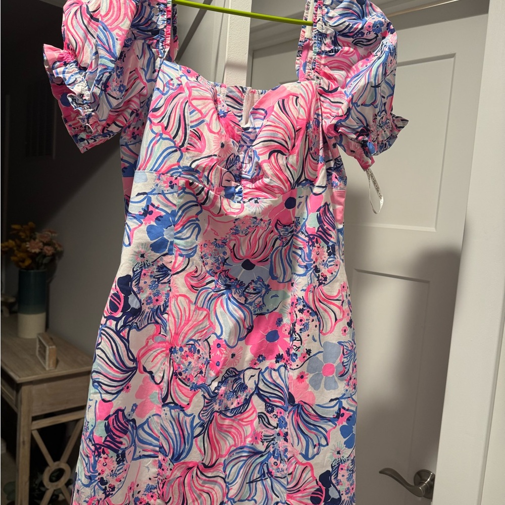 Lilly Pulitzer Pink and Blue Floral Dress